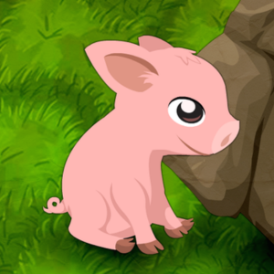 Block The Pig 